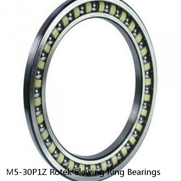 M5-30P1Z Rotek Slewing Ring Bearings