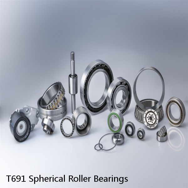 T691 Spherical Roller Bearings