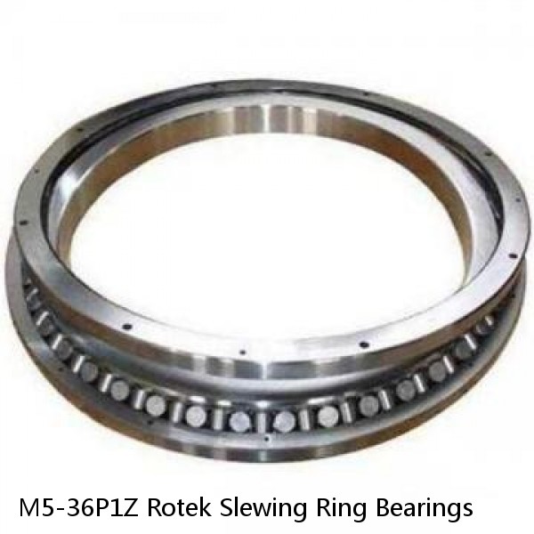 M5-36P1Z Rotek Slewing Ring Bearings