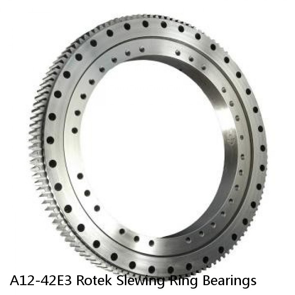 A12-42E3 Rotek Slewing Ring Bearings