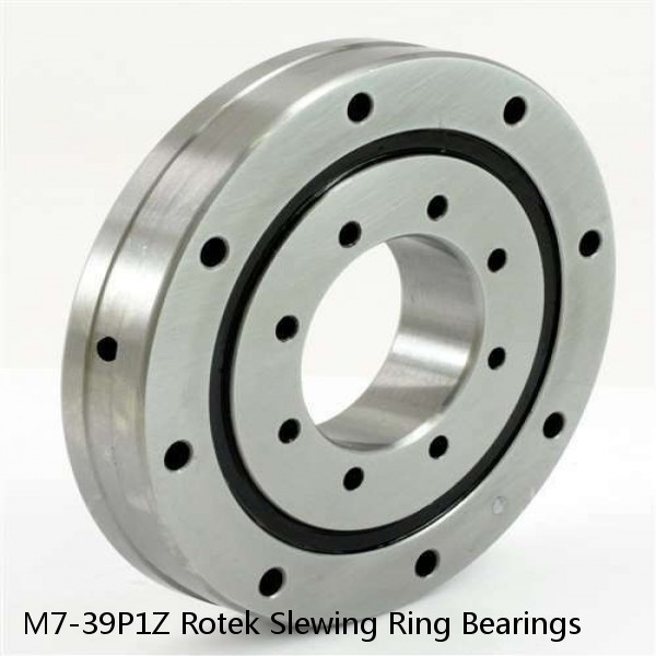 M7-39P1Z Rotek Slewing Ring Bearings