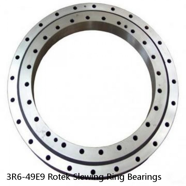 3R6-49E9 Rotek Slewing Ring Bearings