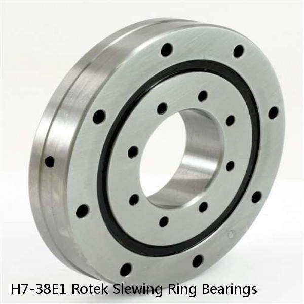 H7-38E1 Rotek Slewing Ring Bearings