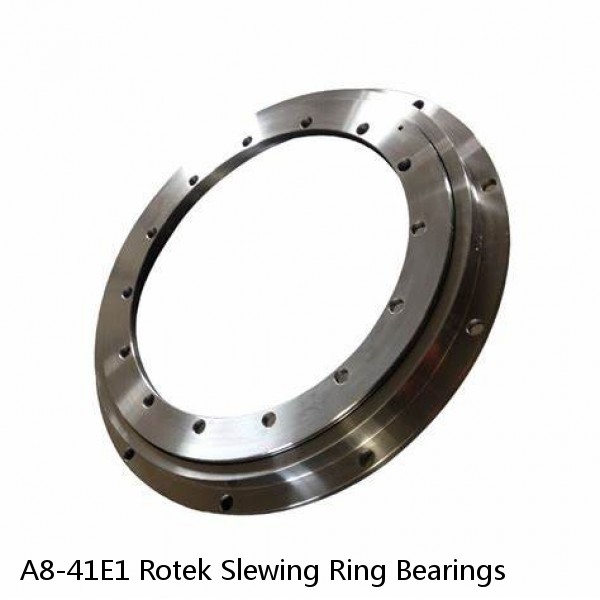 A8-41E1 Rotek Slewing Ring Bearings