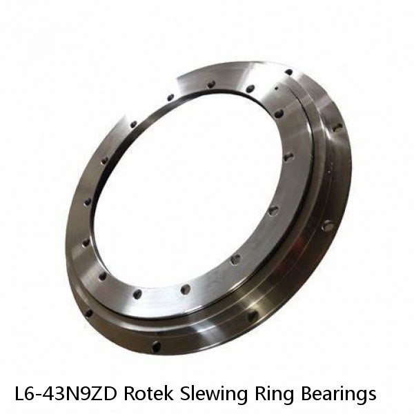 L6-43N9ZD Rotek Slewing Ring Bearings