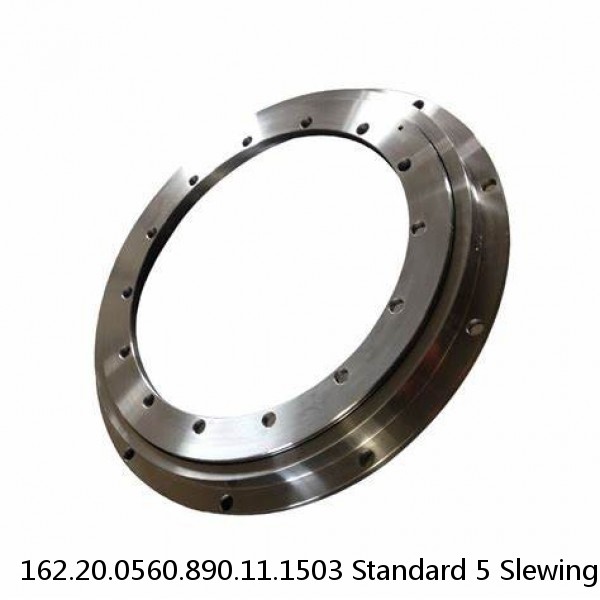 162.20.0560.890.11.1503 Standard 5 Slewing Ring Bearings