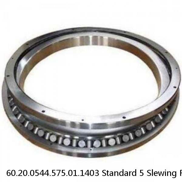 60.20.0544.575.01.1403 Standard 5 Slewing Ring Bearings