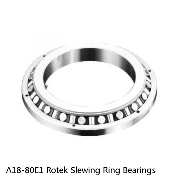 A18-80E1 Rotek Slewing Ring Bearings