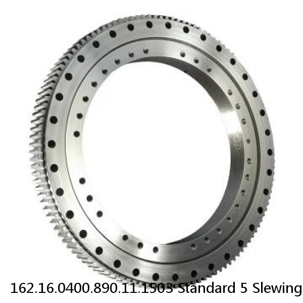 162.16.0400.890.11.1503 Standard 5 Slewing Ring Bearings