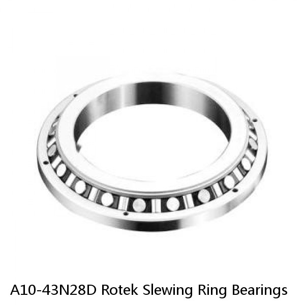 A10-43N28D Rotek Slewing Ring Bearings