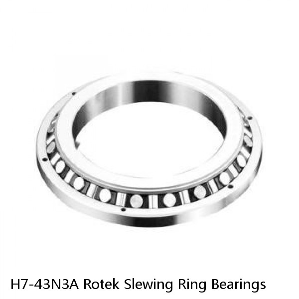 H7-43N3A Rotek Slewing Ring Bearings