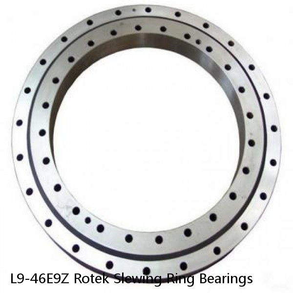 L9-46E9Z Rotek Slewing Ring Bearings