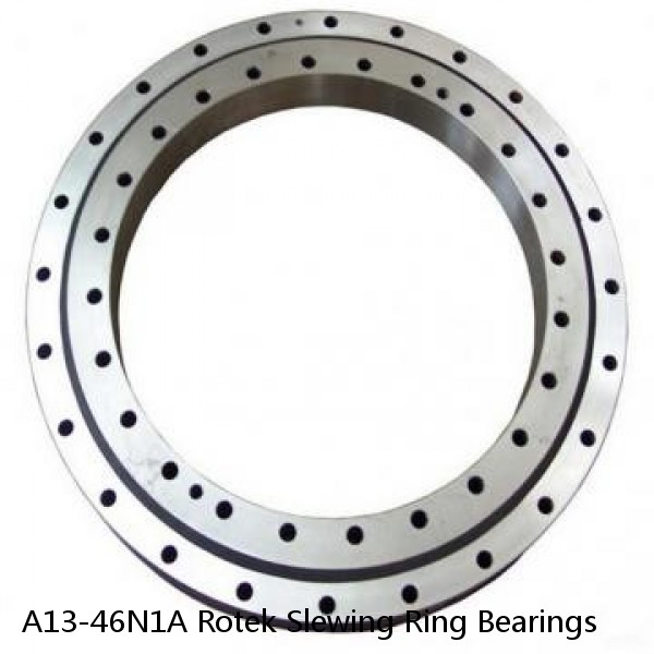 A13-46N1A Rotek Slewing Ring Bearings