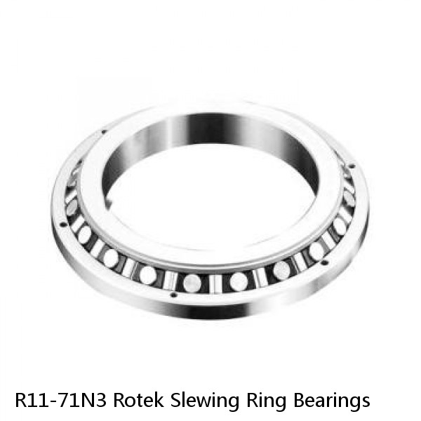 R11-71N3 Rotek Slewing Ring Bearings