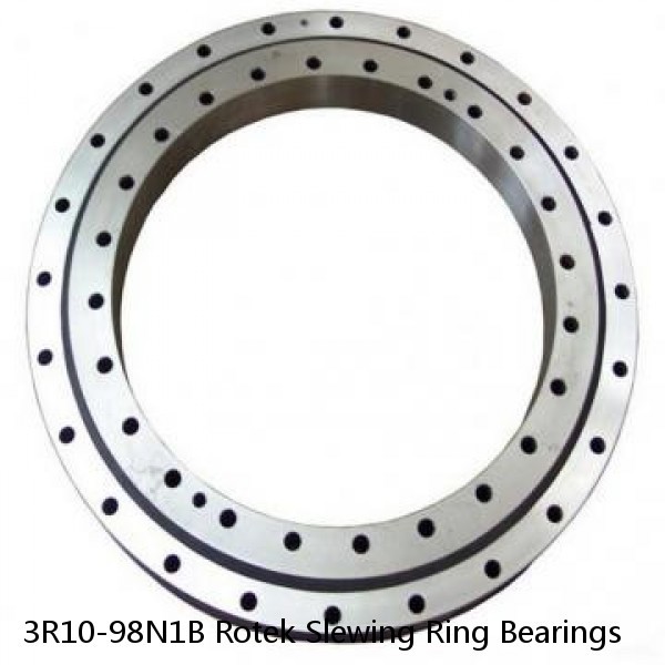 3R10-98N1B Rotek Slewing Ring Bearings