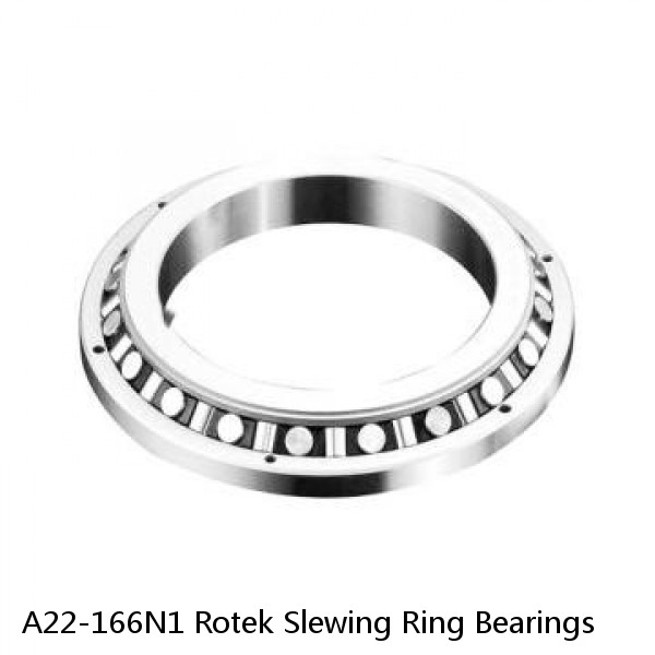 A22-166N1 Rotek Slewing Ring Bearings