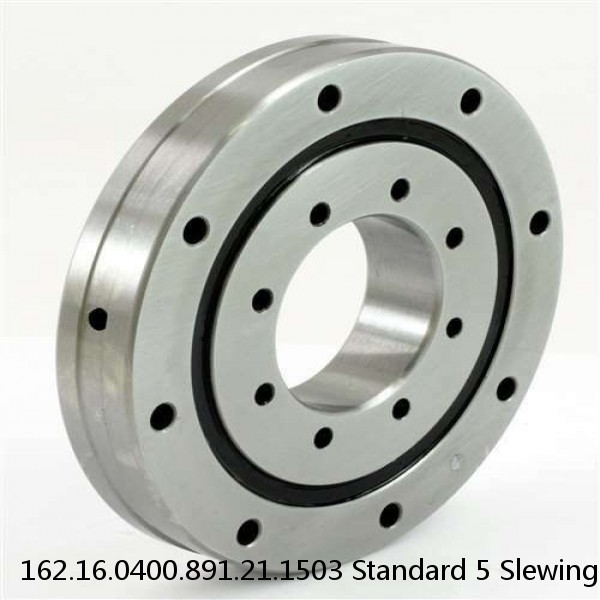 162.16.0400.891.21.1503 Standard 5 Slewing Ring Bearings