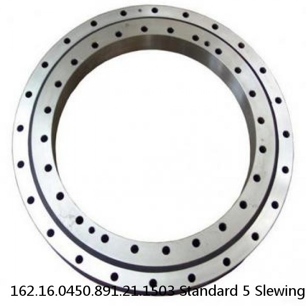 162.16.0450.891.21.1503 Standard 5 Slewing Ring Bearings