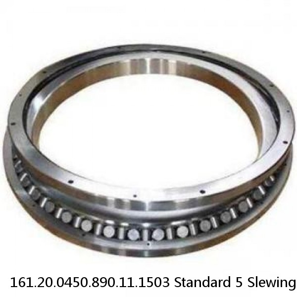 161.20.0450.890.11.1503 Standard 5 Slewing Ring Bearings