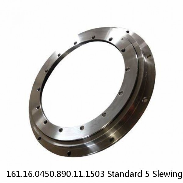 161.16.0450.890.11.1503 Standard 5 Slewing Ring Bearings